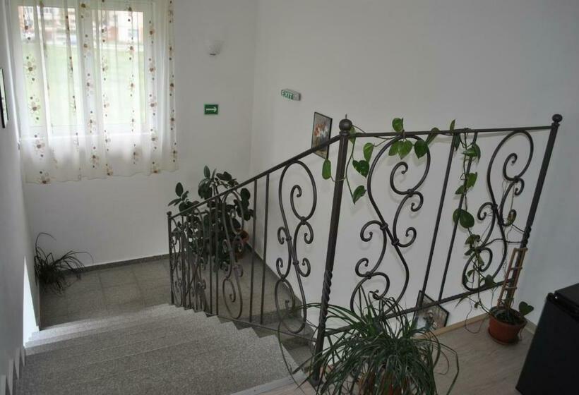 بنسيون Vila Veche