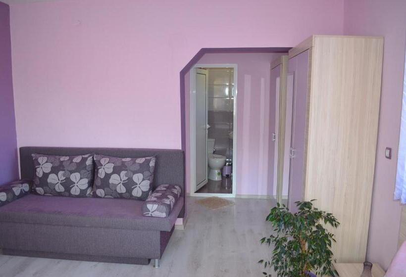 פנסיון Villa Ribarica