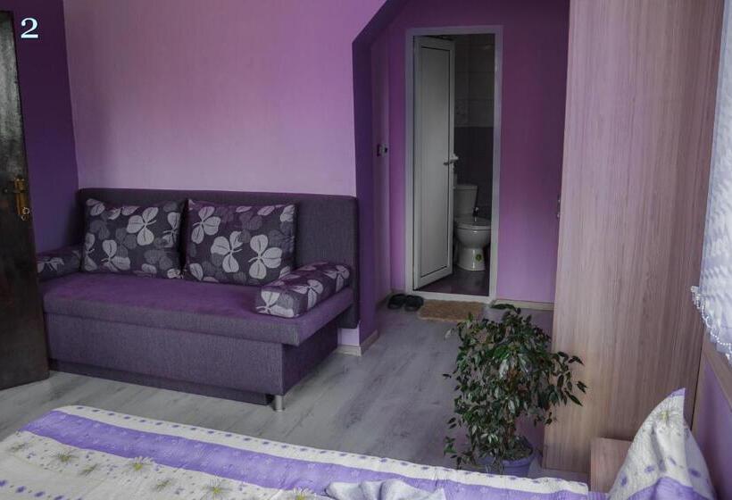 פנסיון Villa Ribarica