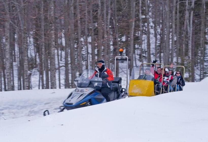 Pension Cabana Cetatile Ponorului