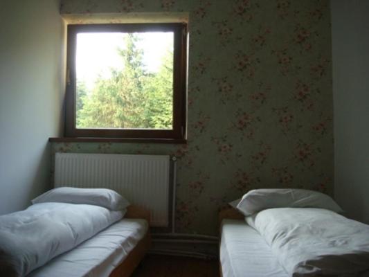 Pension Cabana Cetatile Ponorului