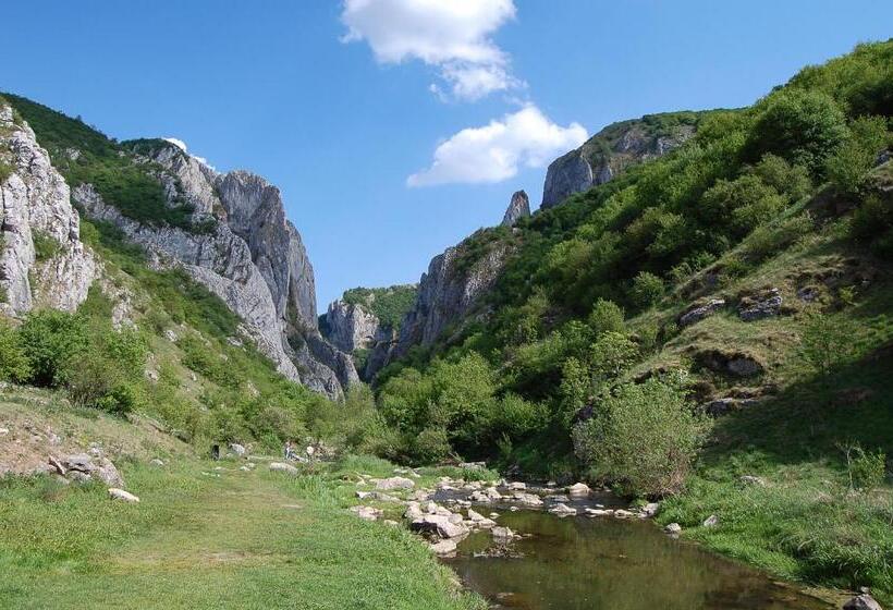 Pension Laura Cheile Turzii