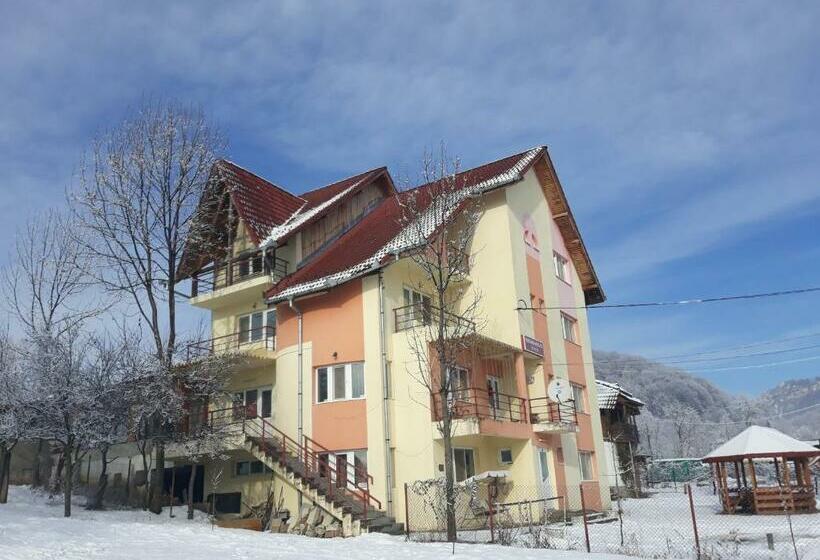 Pension Nicoleta