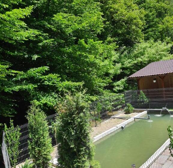 Pensiunea Casa David