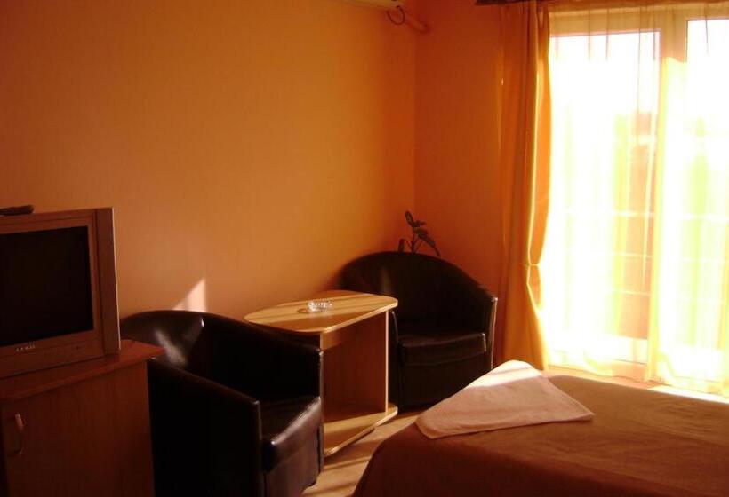 Pensiunea Cionca Str 1 Decembrie 1918 Nr 466