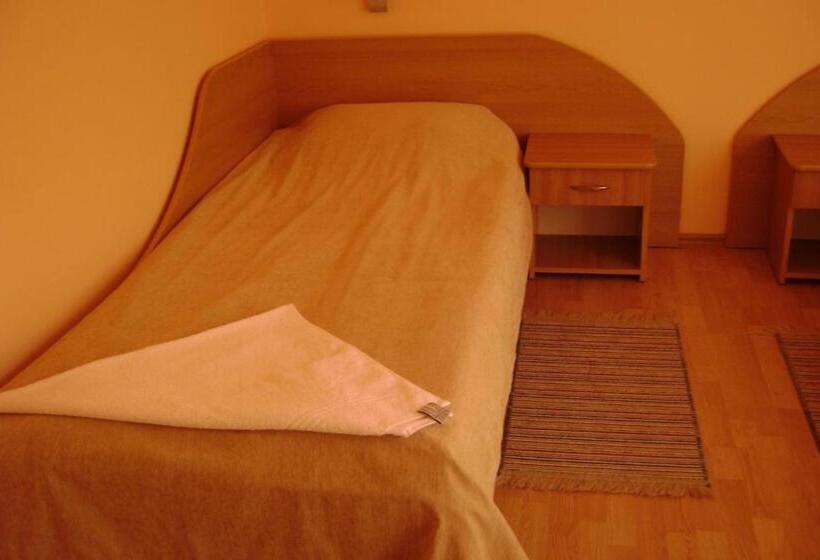 Pensiunea Cionca Str 1 Decembrie 1918 Nr 466