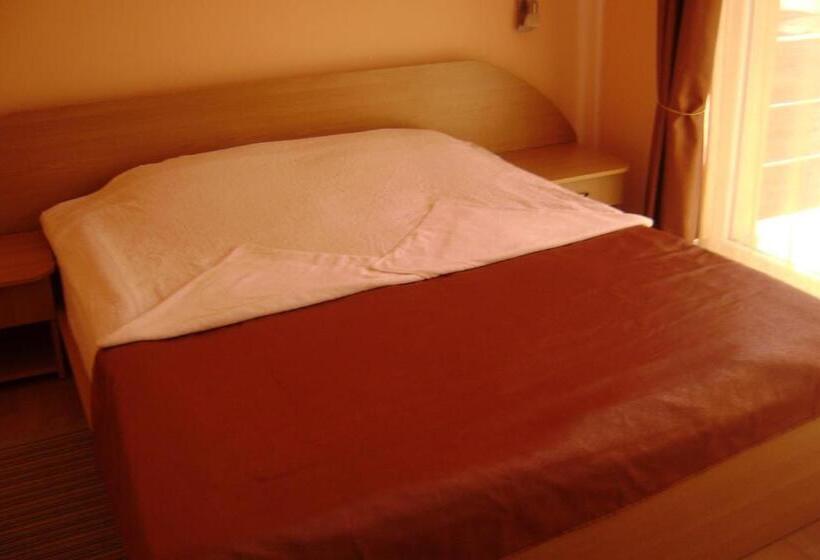 Pensiunea Cionca Str 1 Decembrie 1918 Nr 466