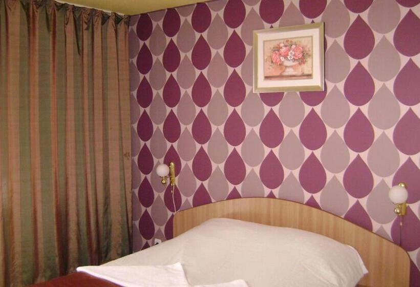 Pensiunea Cionca Str 1 Decembrie 1918 Nr 466