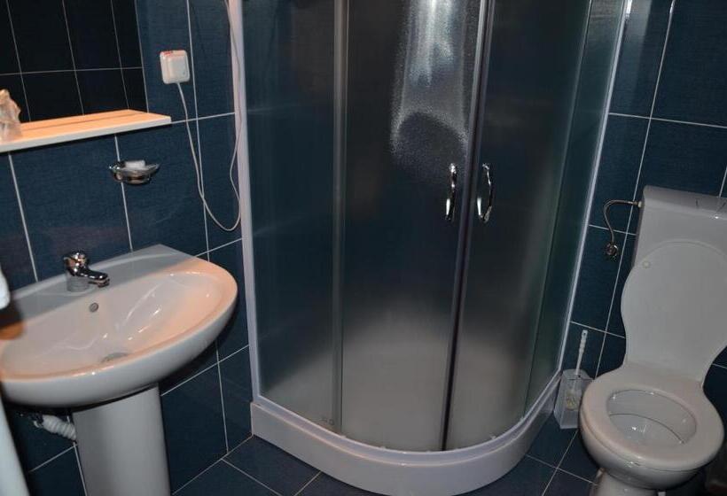 Pensiunea Cionca Str 1 Decembrie 1918 Nr 466