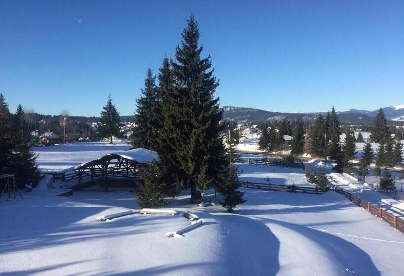 Pensiunea Colt De Rai