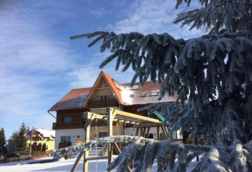 Pensiunea Colt De Rai