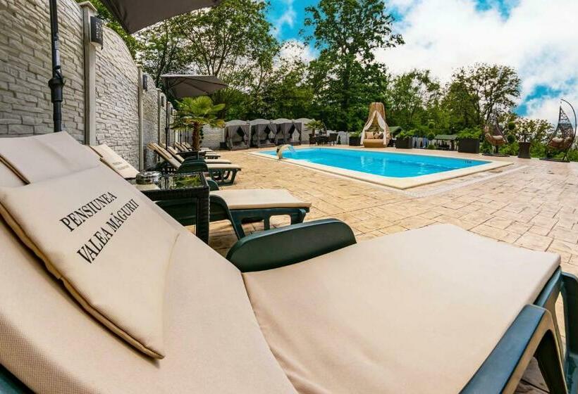 Pensiunea Valea Măgurii