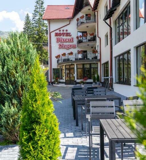 Piscul Negru Hotel   Transfagarasan