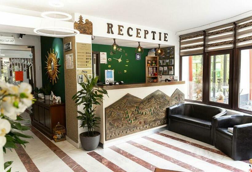 Piscul Negru Hotel   Transfagarasan