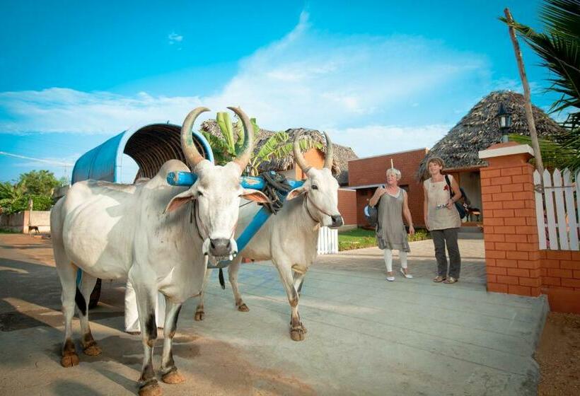 渡假胜地  Chettinadu Courtheritage View