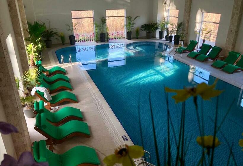 Курорт Complex Turistic Magura