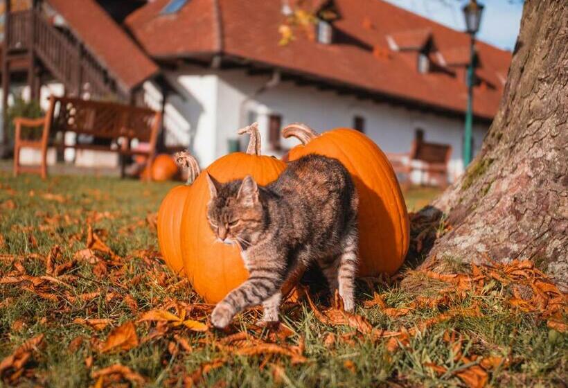 リゾートホテル Darovanský Dvůr Wellness & Golf