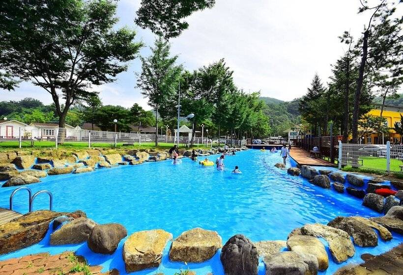 منتجع Sungbochon Youth Hostel   Hostel