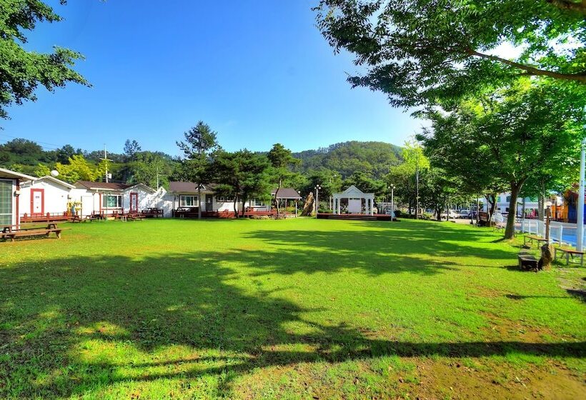 منتجع Sungbochon Youth Hostel   Hostel