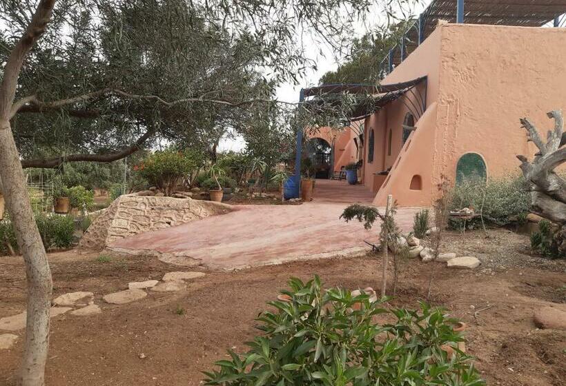 Riad Douar Des Oliviers