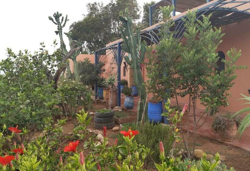 Riad Douar Des Oliviers