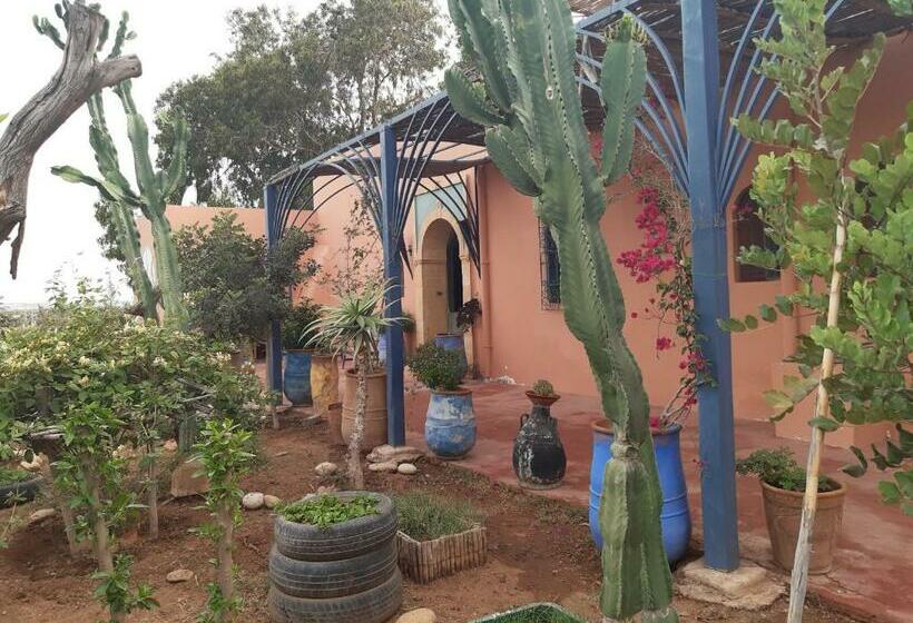 Riad Douar Des Oliviers