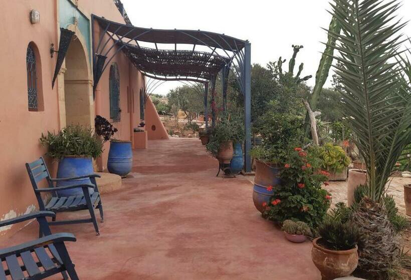 Riad Douar Des Oliviers