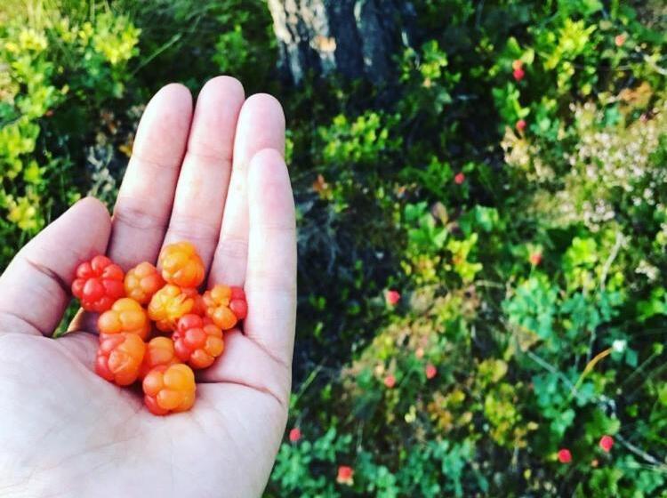 Sälens Högfjällshotell