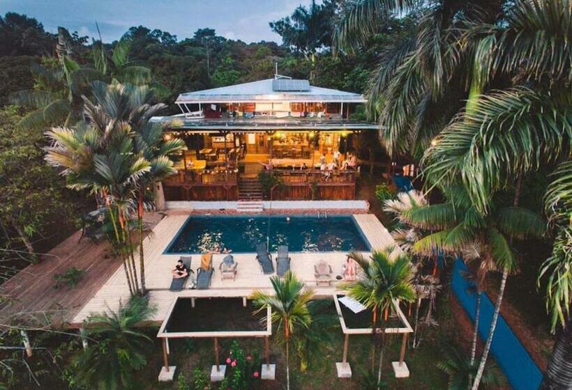 Общежитие Bambuda Lodge