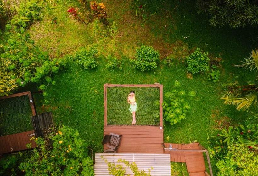 Общежитие Bambuda Lodge