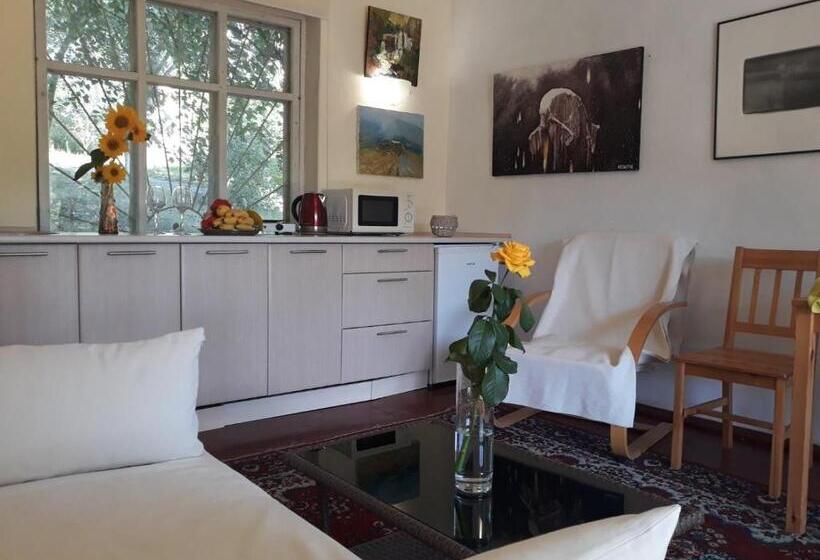 فندق صغير Black Cube