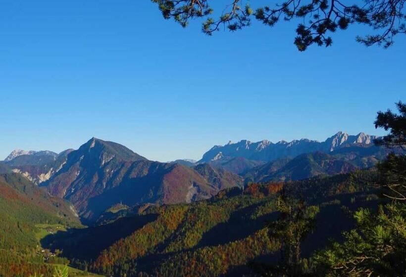 فندق صغير Gasthaus Stefaner