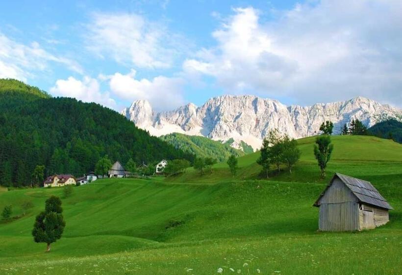 فندق صغير Gasthaus Stefaner