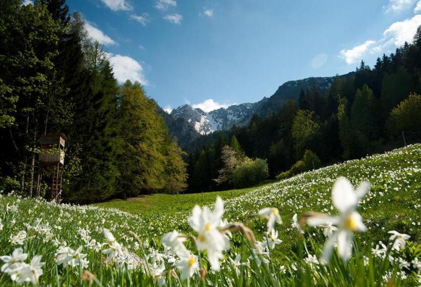 فندق صغير Gasthaus Stefaner