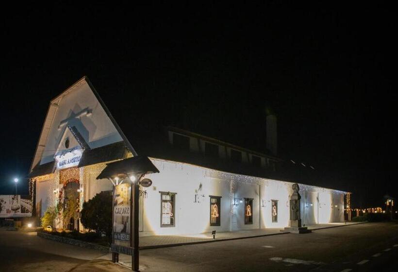 旅馆 Hanul Ancutei