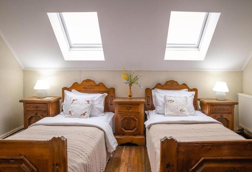 旅馆 Hanul Ancutei