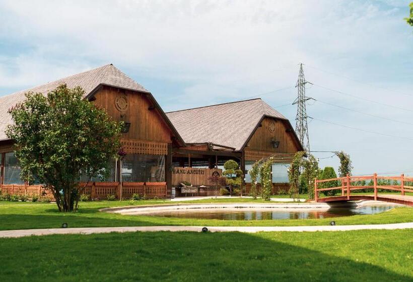 旅馆 Hanul Ancutei