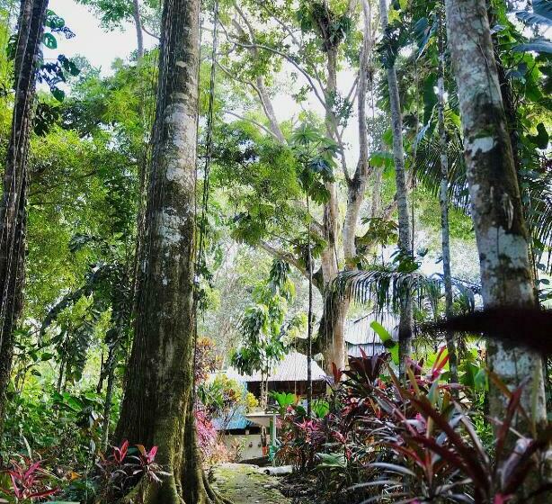 هاستل Hosteria El Paraiso De Las Orquideas