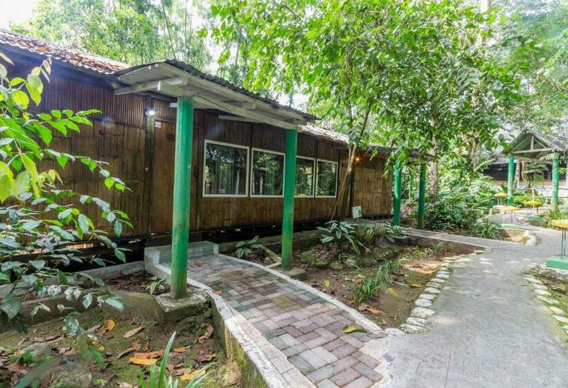 هاستل Hosteria El Paraiso De Las Orquideas