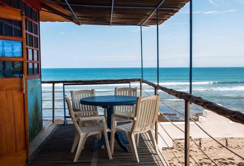 هاستل Hosteria Farallon Dillon