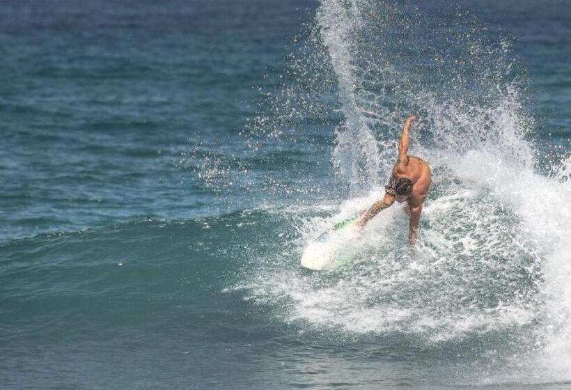 هاستل Hosteria Farallon Dillon