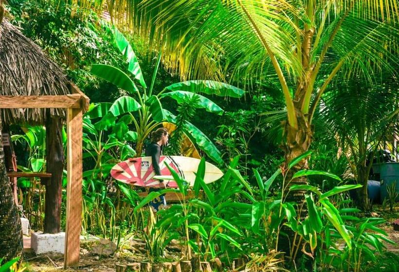 Общежитие La Choza Playa Venao