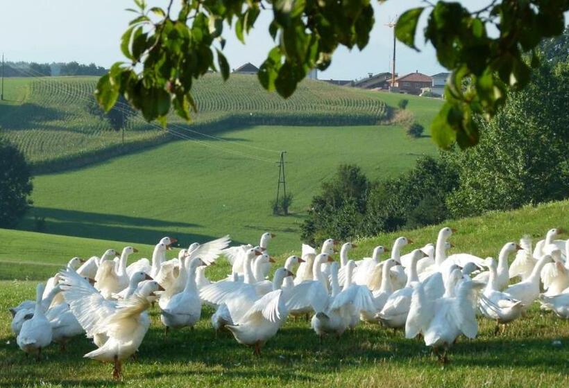 ユースホステル Landgasthof Entenwirt Tarsdorf