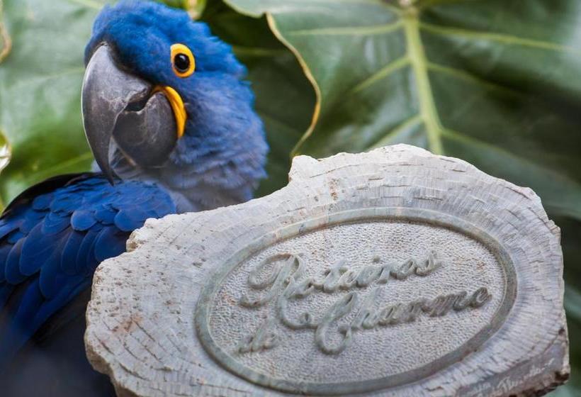 فندق صغير Pousada Araras Pantanal Eco Lodge