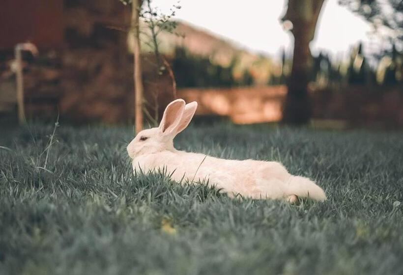 فندق صغير Pousada Pedra Grande