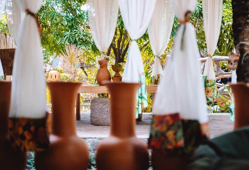 ユースホステル Pousada Rancho Das Dunas