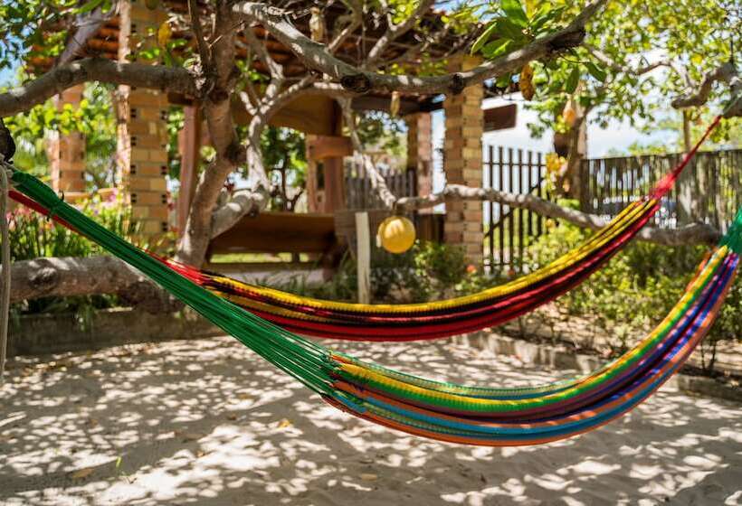 ユースホステル Pousada Rancho Das Dunas