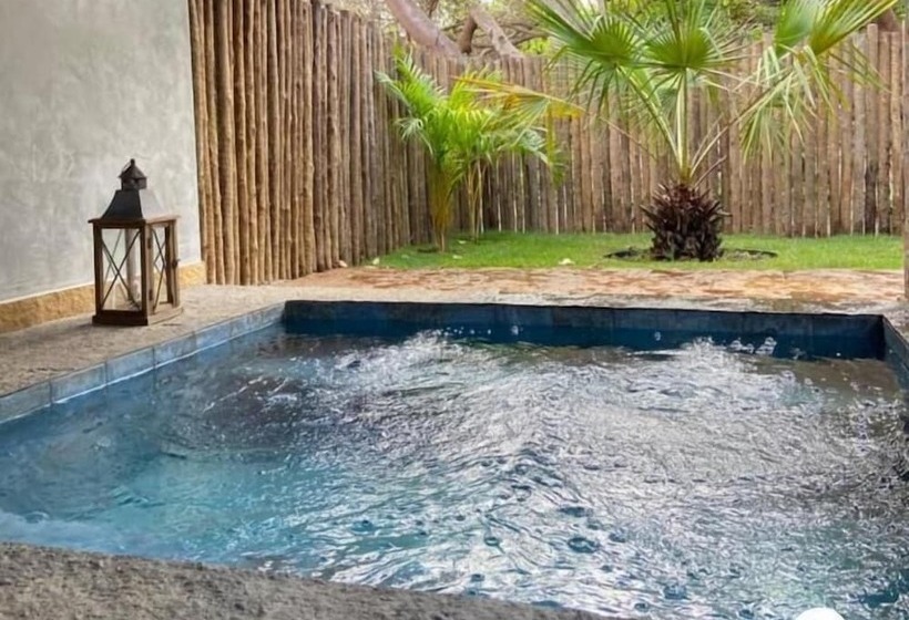 ユースホステル Pousada Rancho Das Dunas