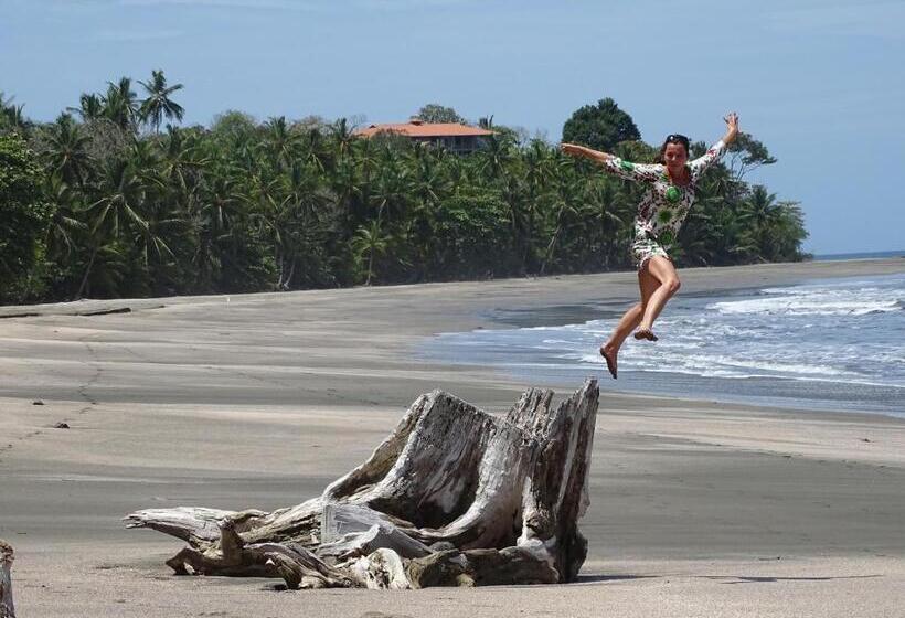 旅馆 Punta Duarte Garden Inn