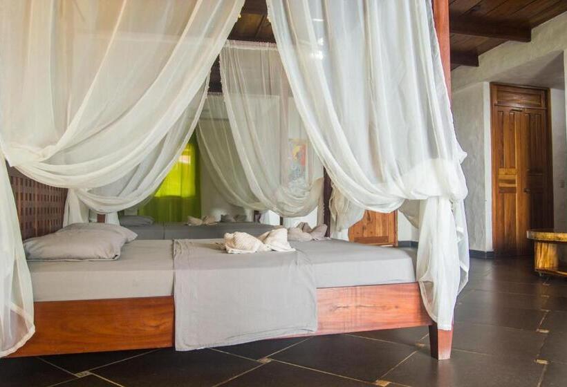 旅馆 Punta Duarte Garden Inn